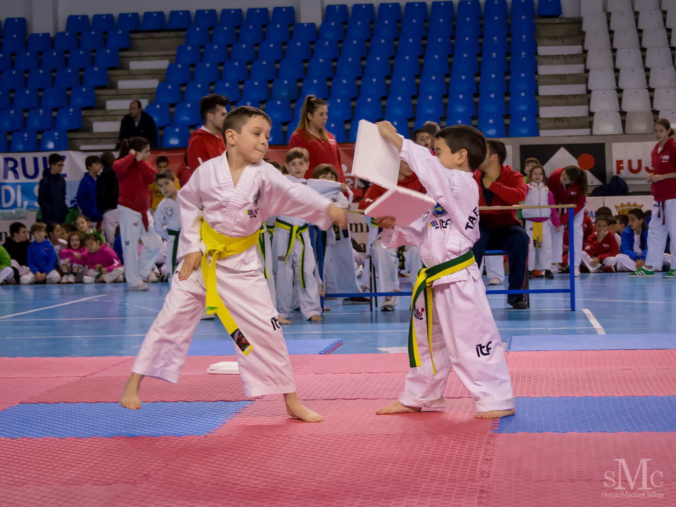 TAEKWONDO CAMPEONATO PAREJAS ABRIL 2018_1694.jpg
